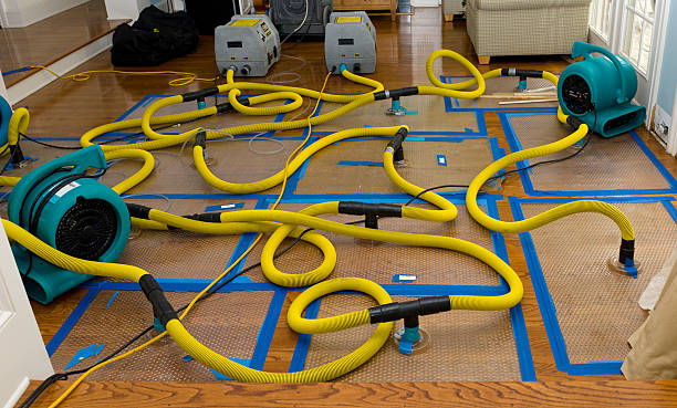 Professional Storm Water Damage Restoration technician working in Glennville, GA
